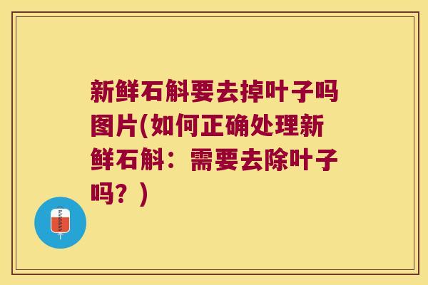 新鲜石斛要去掉叶子吗图片(如何正确处理新鲜石斛：需要去除叶子吗？)