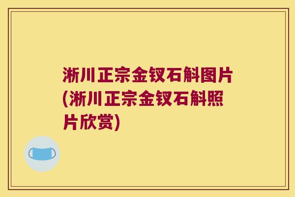 淅川正宗金钗石斛图片(淅川正宗金钗石斛照片欣赏)