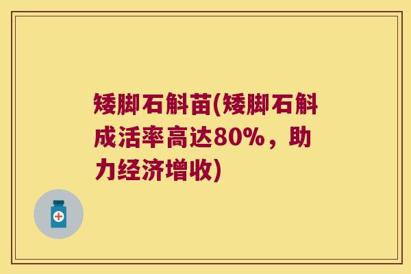矮脚石斛苗(矮脚石斛成活率高达80%，助力经济增收)