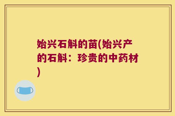 始兴石斛的苗(始兴产的石斛:珍贵的材) 始兴石斛的苗(始兴产的石斛:珍贵的材)