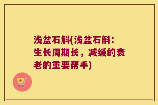 浅盆石斛(浅盆石斛：生长周期长，减缓的衰老的重要帮手)