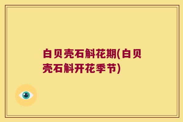 白贝壳石斛花期(白贝壳石斛开花季节)