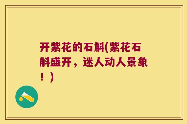 开紫花的石斛(紫花石斛盛开,迷人动人景象!) 开紫花的石斛(紫花石斛盛开,迷人动人景象!)