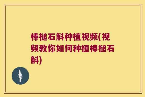 棒槌石斛种植视频(视频教你如何种植棒槌石斛)