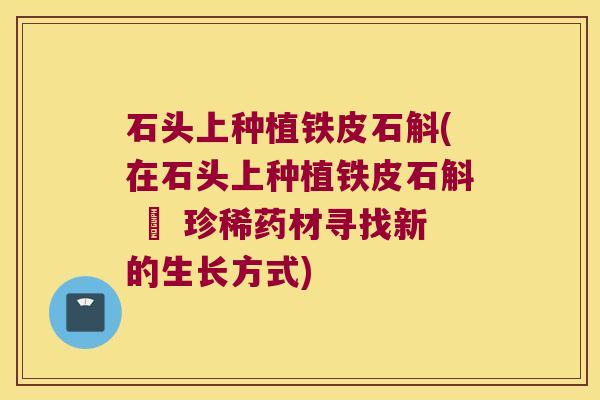 石头上种植铁皮石斛(在石头上种植铁皮石斛 – 珍稀药材寻找新的生长方式)