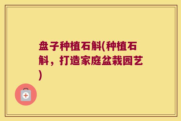 盘子种植石斛(种植石斛，打造家庭盆栽园艺)