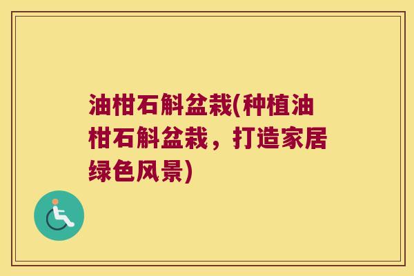 油柑石斛盆栽(种植油柑石斛盆栽，打造家居绿色风景)