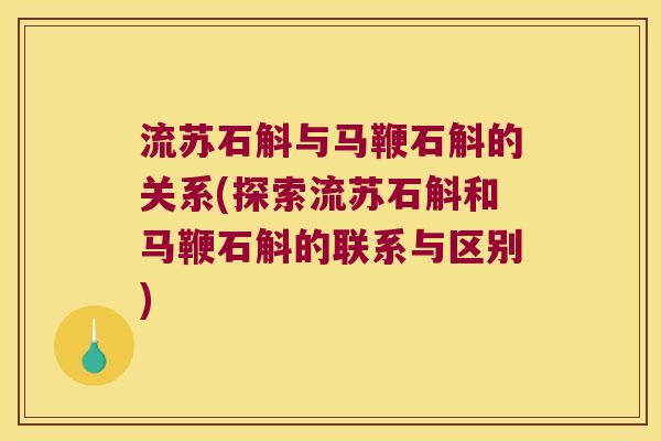 流苏石斛与马鞭石斛的关系(探索流苏石斛和马鞭石斛的联系与区别)