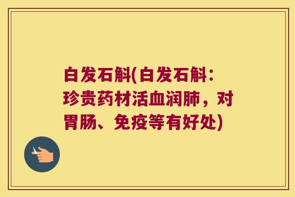 白发石斛(白发石斛：珍贵药材活血润肺，对胃肠、免疫等有好处)