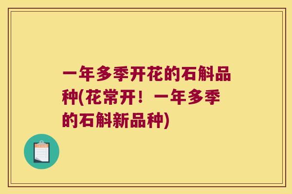 一年多季开花的石斛品种(花常开！一年多季的石斛新品种)