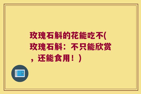 玫瑰石斛的花能吃不(玫瑰石斛：不只能欣赏，还能食用！)