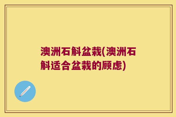 澳洲石斛盆栽(澳洲石斛适合盆栽的顾虑)