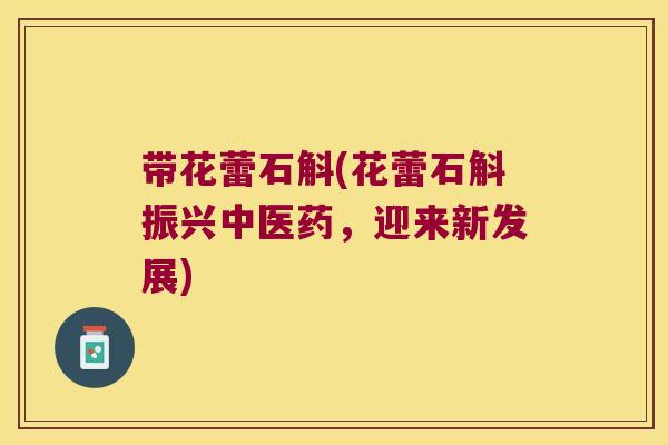 带花蕾石斛(花蕾石斛振兴中医药，迎来新发展)