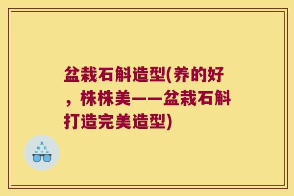 盆栽石斛造型(养的好，株株美——盆栽石斛打造完美造型)