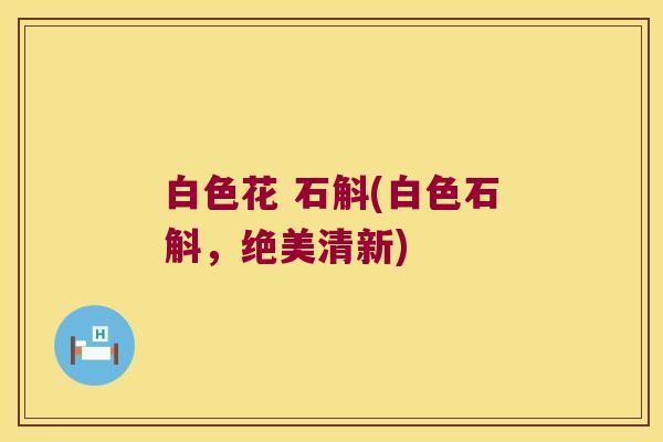 白色花 石斛(白色石斛,绝美清新) 白色花 石斛(白色石斛,绝美清新)