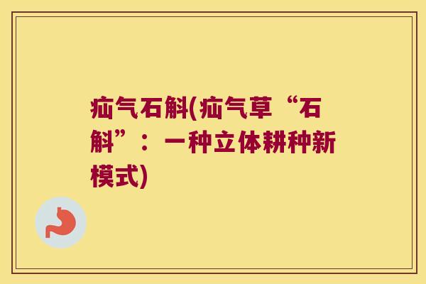 疝气石斛(疝气草“石斛”：一种立体耕种新模式)