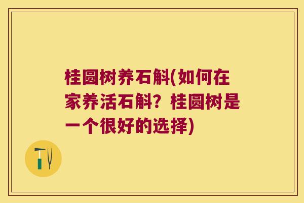 桂圆树养石斛(如何在家养活石斛？桂圆树是一个很好的选择)