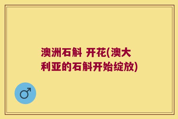 澳洲石斛 开花(澳大利亚的石斛开始绽放)