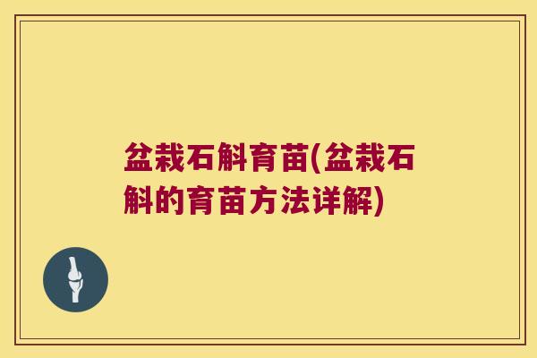 盆栽石斛育苗(盆栽石斛的育苗方法详解)