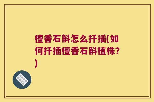 檀香石斛怎么扦插(如何扦插檀香石斛植株？)