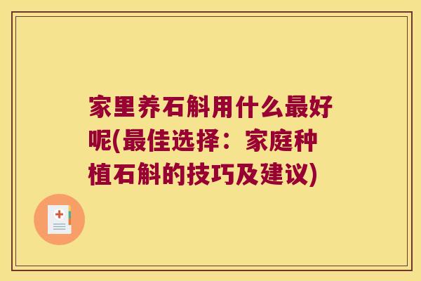 家里养石斛用什么最好呢(最佳选择：家庭种植石斛的技巧及建议)