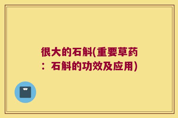 很大的石斛(重要草药：石斛的功效及应用)