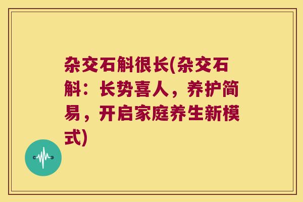 杂交石斛很长(杂交石斛：长势喜人，养护简易，开启家庭养生新模式)