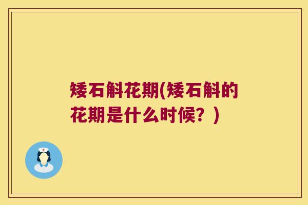 矮石斛花期(矮石斛的花期是什么时候？)