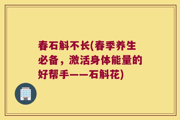 春石斛不长(春季养生必备，激活身体能量的好帮手——石斛花)