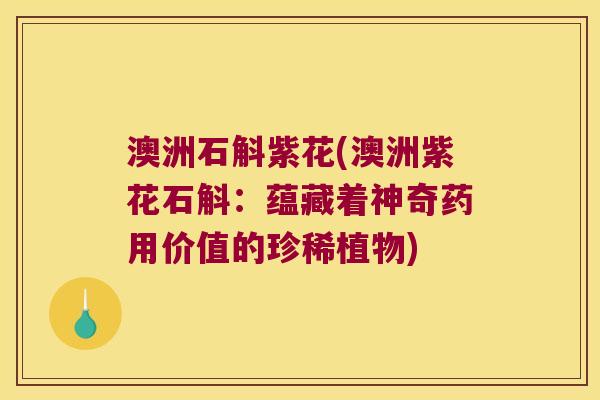 澳洲石斛紫花(澳洲紫花石斛：蕴藏着神奇药用价值的珍稀植物)
