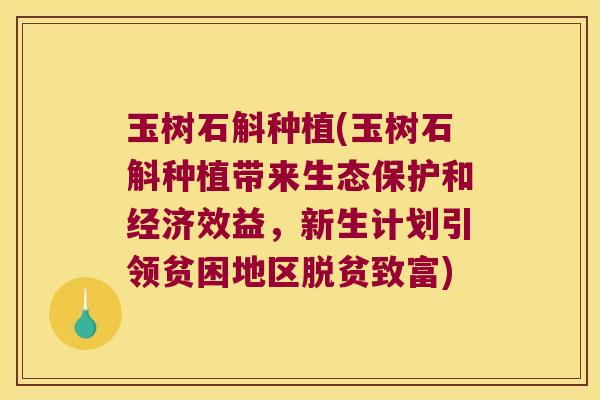 玉树石斛种植(玉树石斛种植带来生态保护和经济效益，新生计划引领贫困地区脱贫致富)