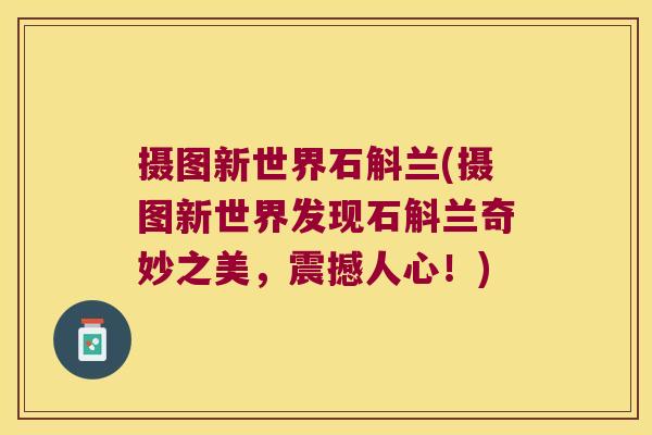 摄图新世界石斛兰(摄图新世界发现石斛兰奇妙之美，震撼人心！)