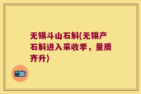 无锡斗山石斛(无锡产石斛进入采收季，量质齐升)