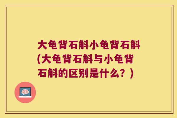 大龟背石斛小龟背石斛(大龟背石斛与小龟背石斛的区别是什么?) 大龟背石斛小龟背石斛(大龟背石斛与小龟背石斛的区别是什么?)