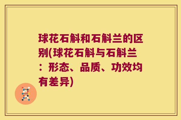 球花石斛和石斛兰的区别(球花石斛与石斛兰：形态、品质、功效均有差异)