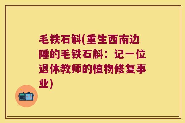毛铁石斛(重生西南边陲的毛铁石斛：记一位退休教师的植物修复事业)