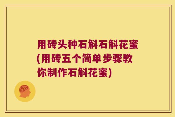 用砖头种石斛石斛花蜜(用砖五个简单步骤教你制作石斛花蜜)