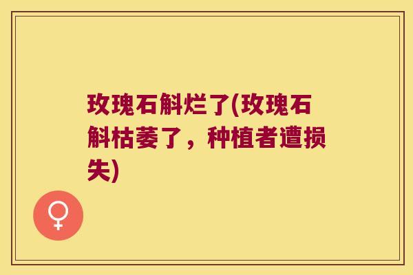 玫瑰石斛烂了(玫瑰石斛枯萎了，种植者遭损失)