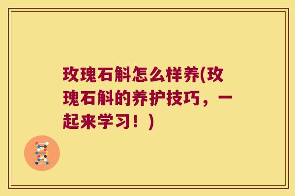 玫瑰石斛怎么样养(玫瑰石斛的养护技巧，一起来学习！)