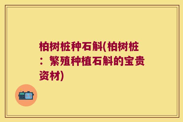 柏树桩种石斛(柏树桩：繁殖种植石斛的宝贵资材)