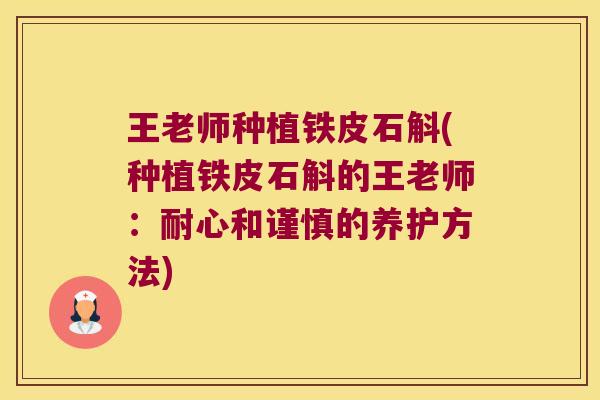 王老师种植铁皮石斛(种植铁皮石斛的王老师：耐心和谨慎的养护方法)