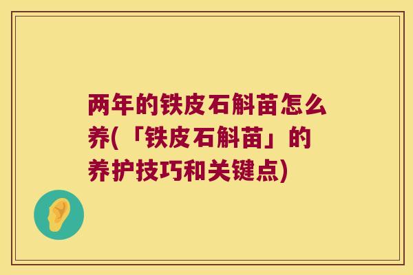 两年的铁皮石斛苗怎么养(「铁皮石斛苗」的养护技巧和关键点)