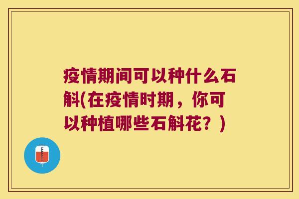 疫情期间可以种什么石斛(在疫情时期，你可以种植哪些石斛花？)