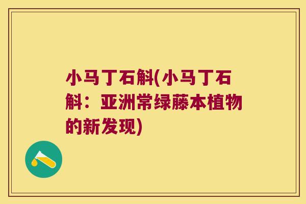 小马丁石斛(小马丁石斛：亚洲常绿藤本植物的新发现)