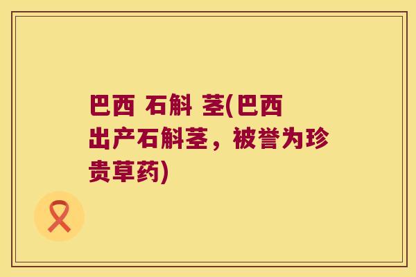 巴西 石斛 茎(巴西出产石斛茎，被誉为珍贵草药)