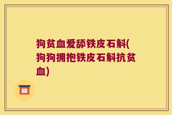 狗贫爱舔铁皮石斛(狗狗拥抱铁皮石斛抗贫) 狗贫爱舔铁皮石斛(狗狗拥抱铁皮石斛抗贫)