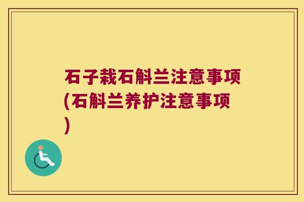 石子栽石斛兰注意事项(石斛兰养护注意事项)