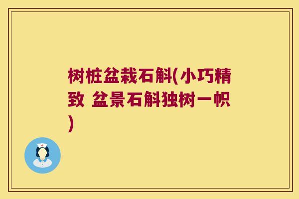 树桩盆栽石斛(小巧精致 盆景石斛独树一帜) 树桩盆栽石斛(小巧精致 盆景石斛独树一帜)