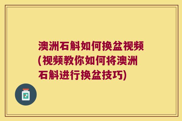澳洲石斛如何换盆视频(视频教你如何将澳洲石斛进行换盆技巧)