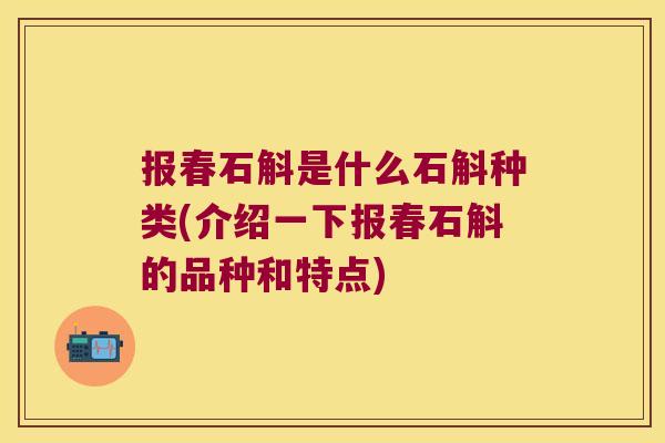 报春石斛是什么石斛种类(介绍一下报春石斛的品种和特点)